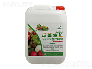 SM-004�ϲ����������Ƽ�-�ΰ�������