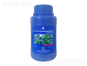 SM-038A�󶹳�����Թ��������������Ƽ���250ml��-�ΰ�������