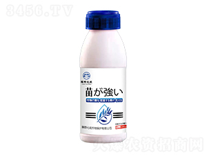 ����ǿ���紲����Ӫ����-��Ұ����