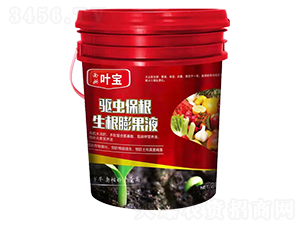 ���汣������Һ-��Ҷֲ��