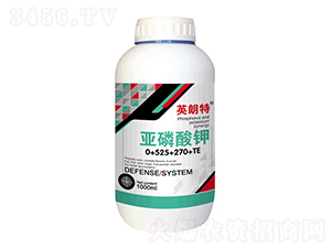 �������0-525-270+TE-Ӣ����