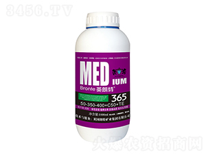 ��ʩ����50-350-400+C50+TE-����365-Ӣ����