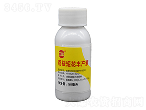 50ml��֦�̻������-��