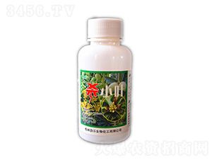 75ml����ɱСҶ-��