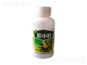 100ml��СҶ-��