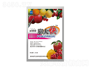 200g��ǿ������-��