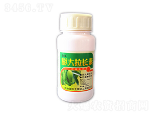 200ml�������������-��