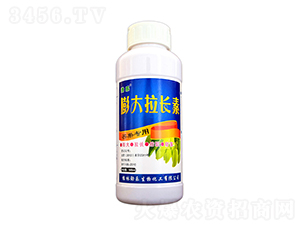 500ml����â�����������-��