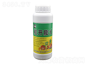 500ml�����-��