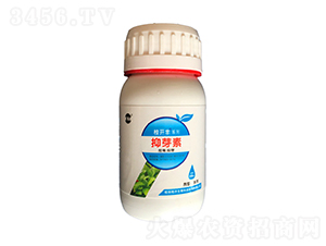 200ml�𿪷���ѿ��-��