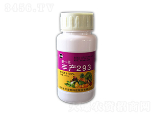 ��һ�����293-��