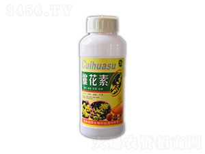 500ml�߻���-��