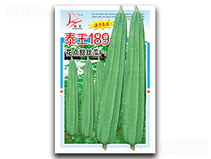 ̩��189-˿������-������ҵ