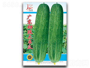 �㶫�������-��������-������ҵ