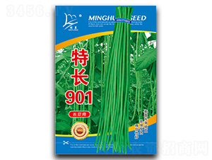 �س�901-��������-������ҵ