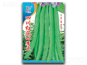 �Ĵ��컨�ļ���-�ļ�������-������ҵ