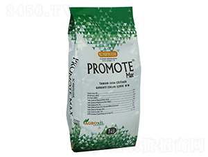 Promote-�ָ���
