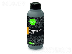 Taravert-Evo-�ָ���