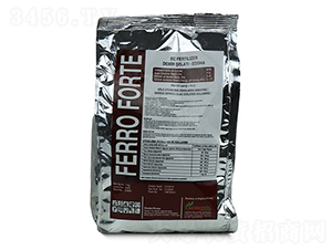 Ferro-Forte-�ָ���