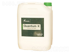 Quantum-K-�ָ���