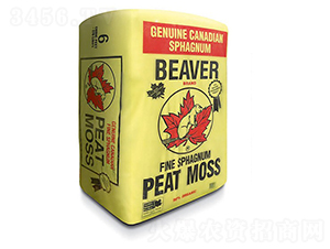 Beaver-�ָ���