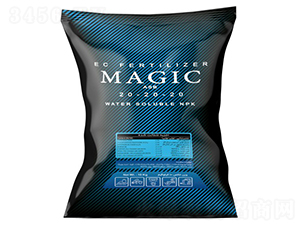 Magic-ASB-202020-�ָ���