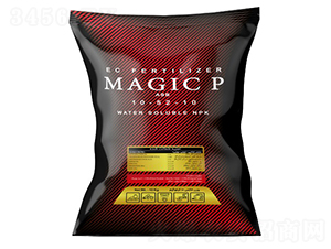 Magic-10-52-10-�ָ���
