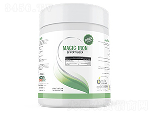 Magic-Iron-�ָ���