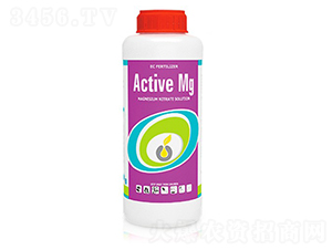 Active-Mg-�ָ���