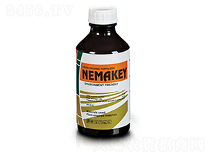 Nemakey-�ָ���