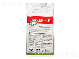 Micro-Fe-�ָ���