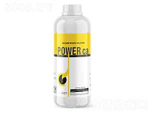 Power-ca-�ָ���