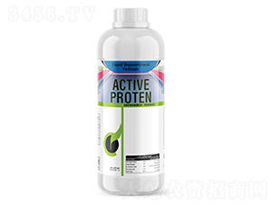 Active-Protein-�ָ���