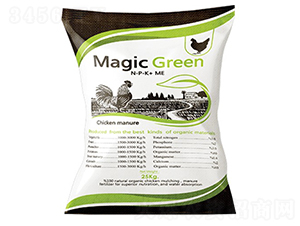Magic-Green-�ָ���