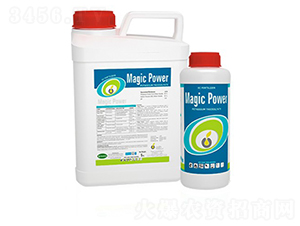 Magic-Power-�ָ���