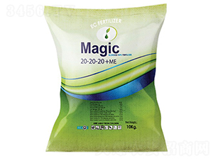 Magic-20-20-20-�ָ���