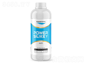 Power-Silikey-�ָ���
