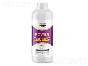 Power-CalBor-�ָ���