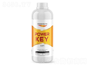 Power-Key-�ָ���