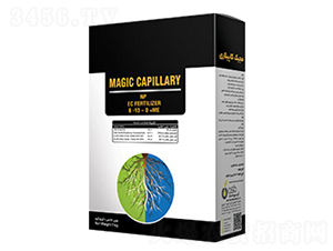Magic-Capillary-�ָ���