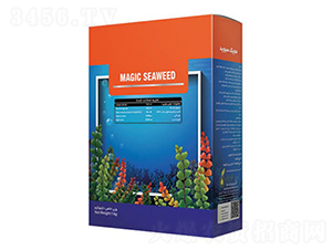 Magic-Seaweed-�ָ���