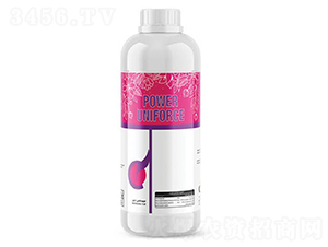 Power-Uniforce-�ָ���
