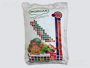 Morgan-��������-�ָ���