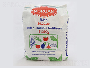Morgan-NPK��ĩ����20.20.20-�ָ���