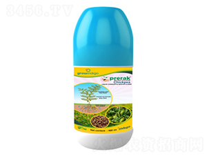 Prerak-chickpea-�ָ���