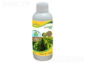 Prerak-Soya-�ָ���