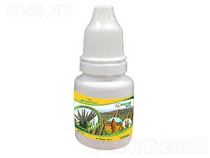 Prerak-Millet-�ָ���