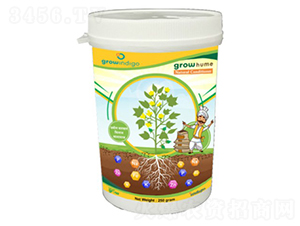 Grow-Hume-�ָ���