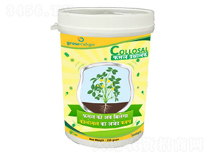 Collosal-�ָ���