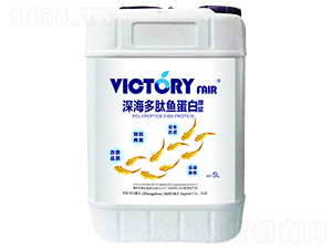 ������㵰��ԭ��-ά������